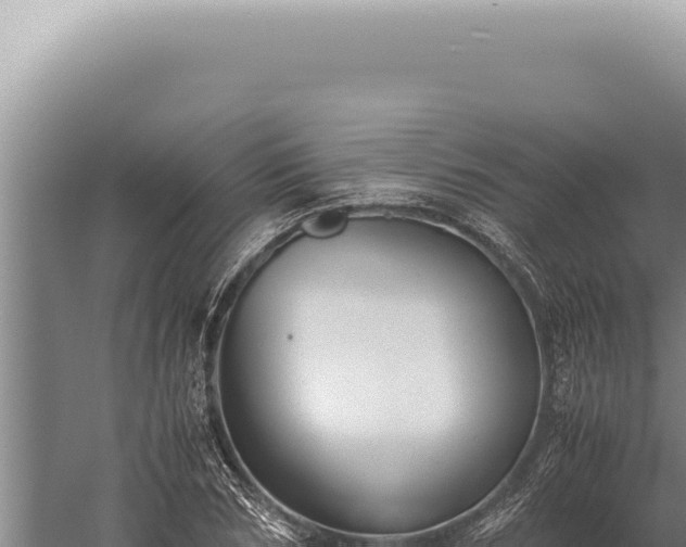 X0000059810978200510281701