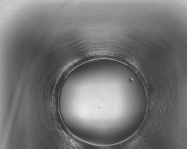 X0000059810979200510281701