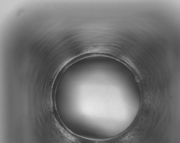 X0000059810980200510281701