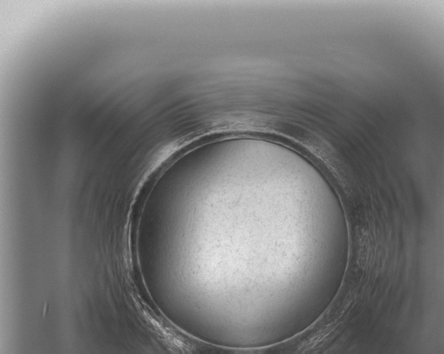 X0000059810982200510281701