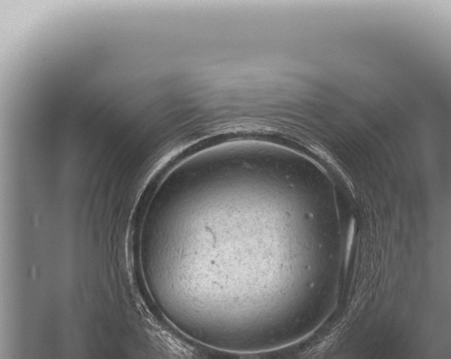 X0000059810983200510281701