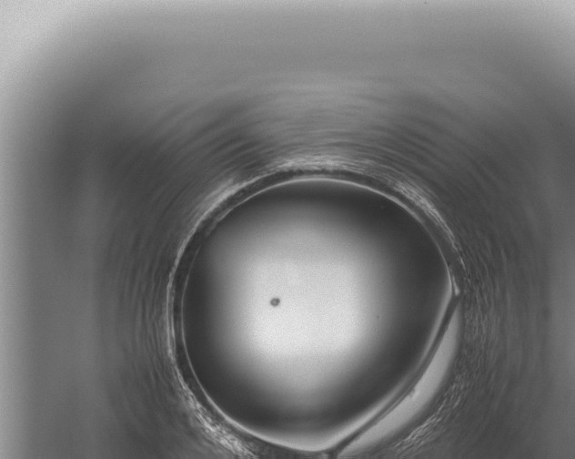 X0000059810984200510281701