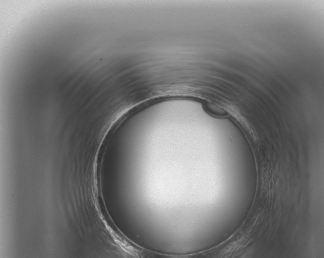 X0000059810988200510281701