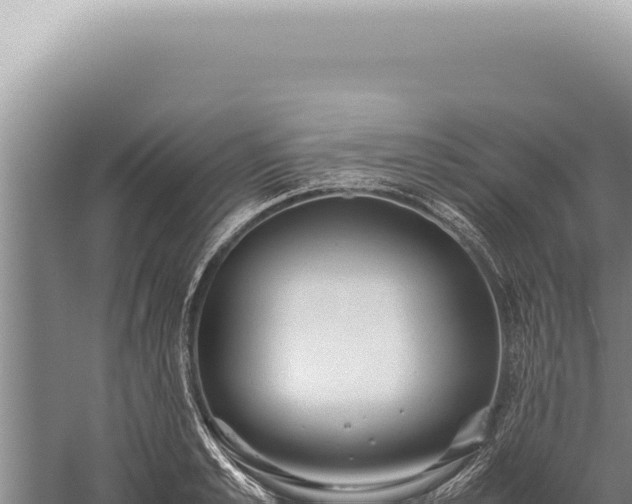 X0000059810989200510281700