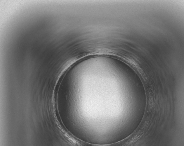 X0000059810990200510281700