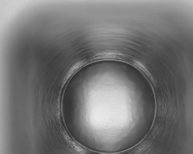 X0000059810994200510281700