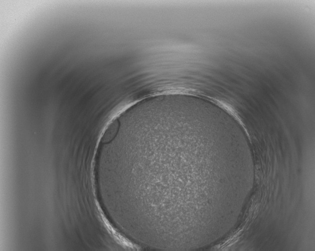 X0000059810995200510281700