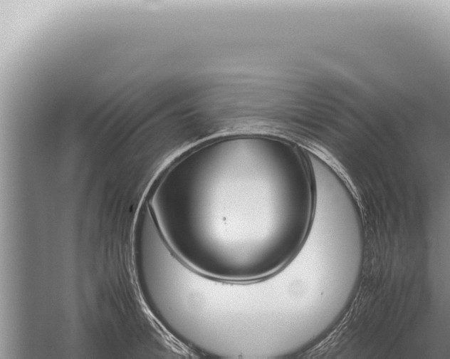 X0000059810996200510281700