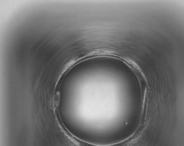 X0000059810997200510281700