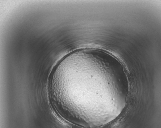 X0000059810998200510281700