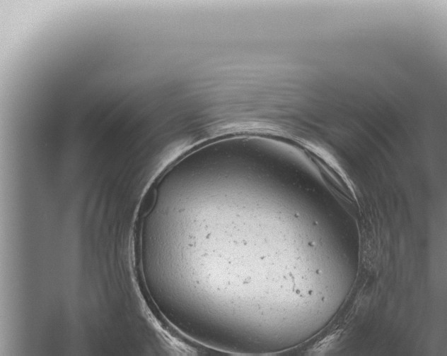 X0000059810999200510281700