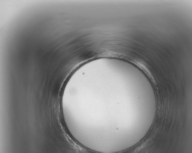 X0000059811000200510281700