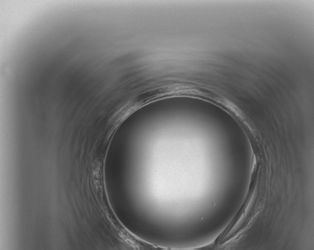 X0000059811001200510281700