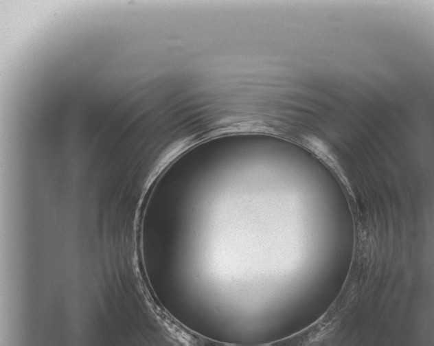 X0000059811002200510281700