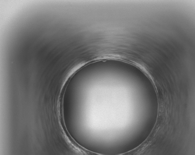 X0000059811003200510281700