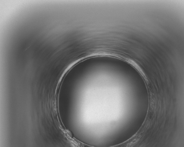 X0000059811004200510281700