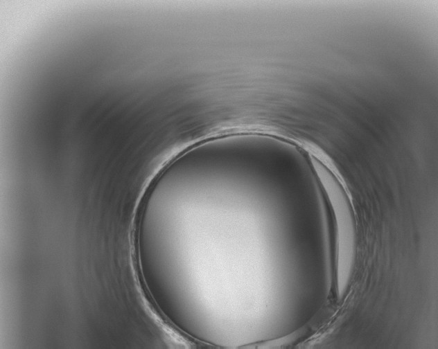 X0000059811005200510281700