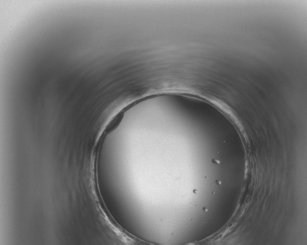 X0000059811006200510281700