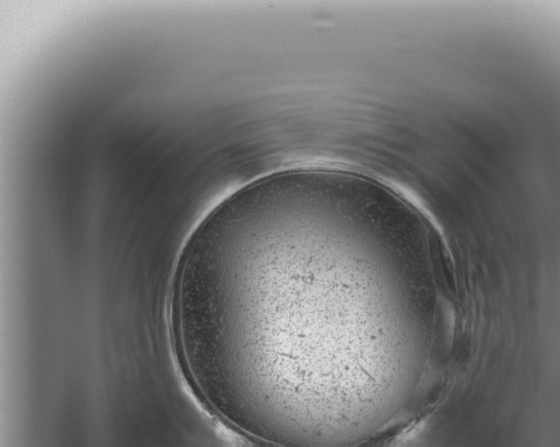 X0000059811007200510281700