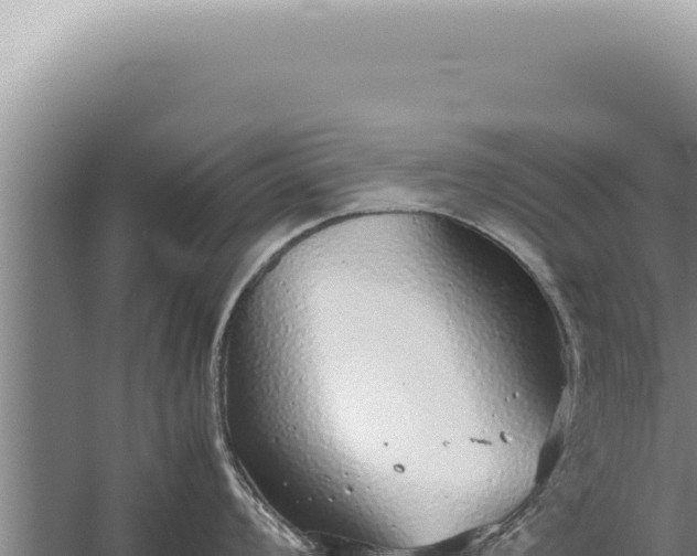 X0000059811008200510281700