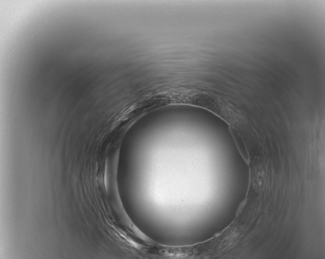 X0000059811010200510281659