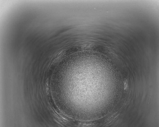 X0000059811011200510281659