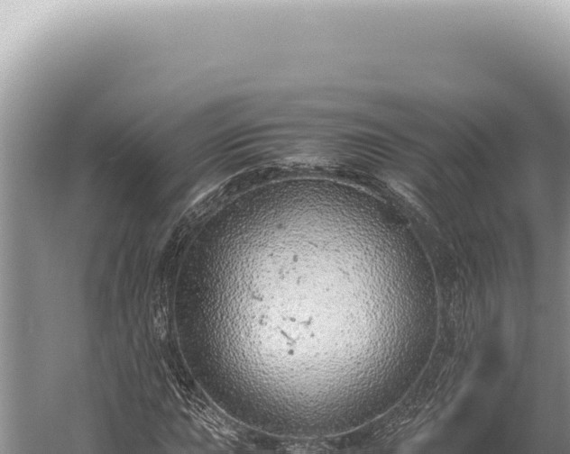 X0000059811015200510281659