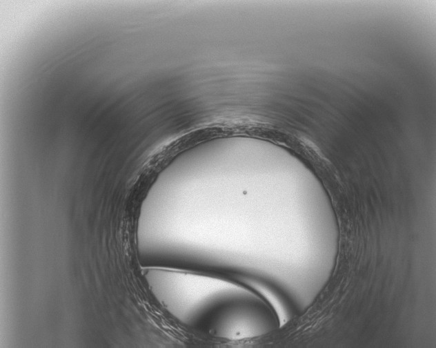 X0000059811016200510281659