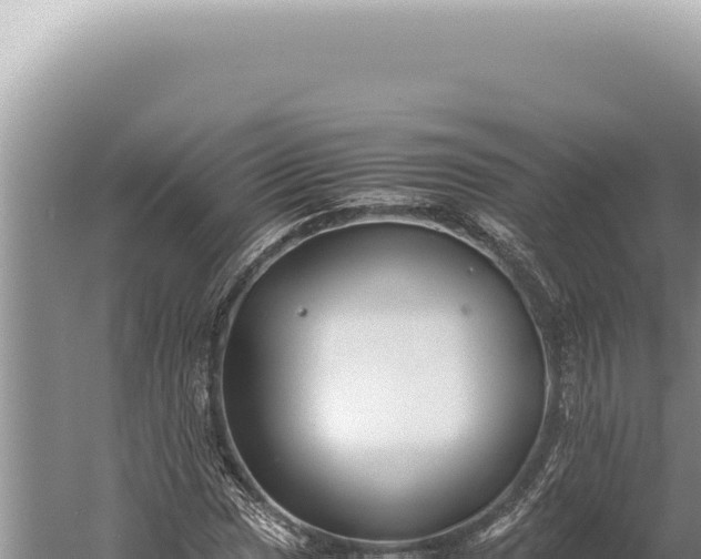 X0000059811017200510281659