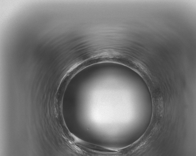 X0000059811018200510281659