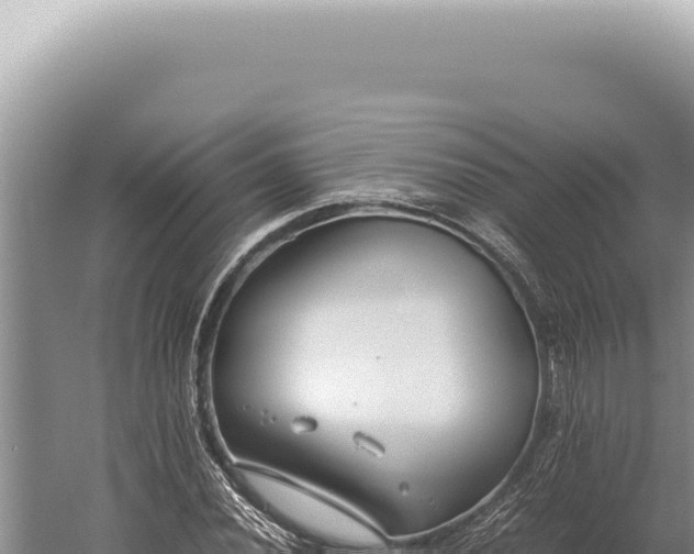 X0000059811020200510281700