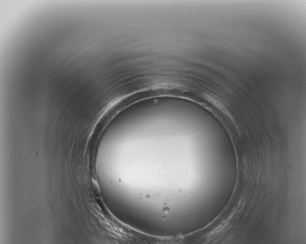 X0000059811021200510281700