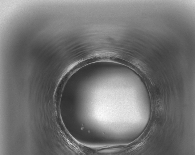 X0000059811022200510281700