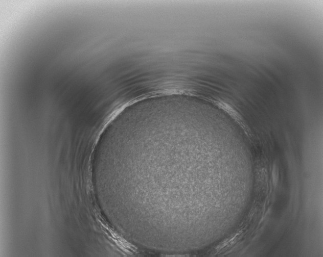 X0000059811023200510281700