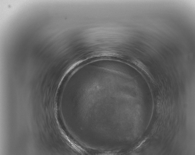 X0000059811024200510281700