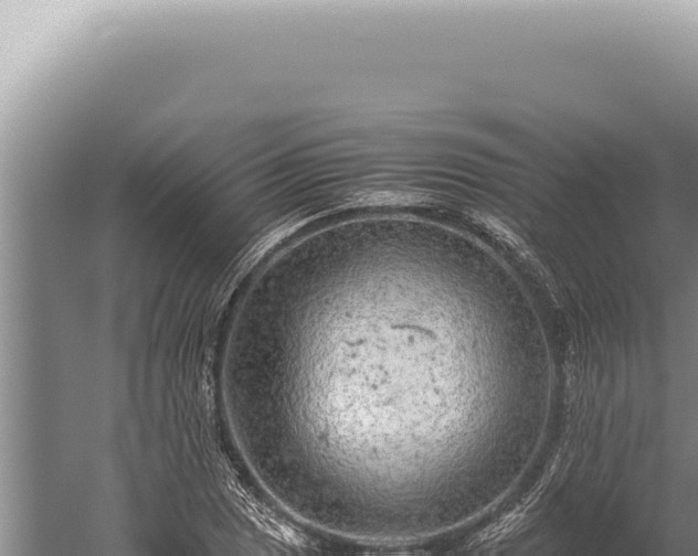 X0000059811025200510281700