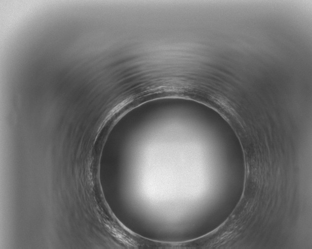 X0000059811026200510281700