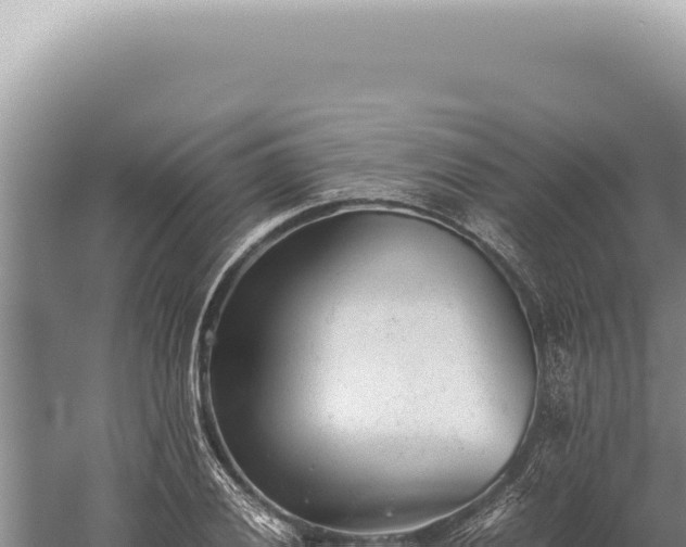 X0000059811028200510281700