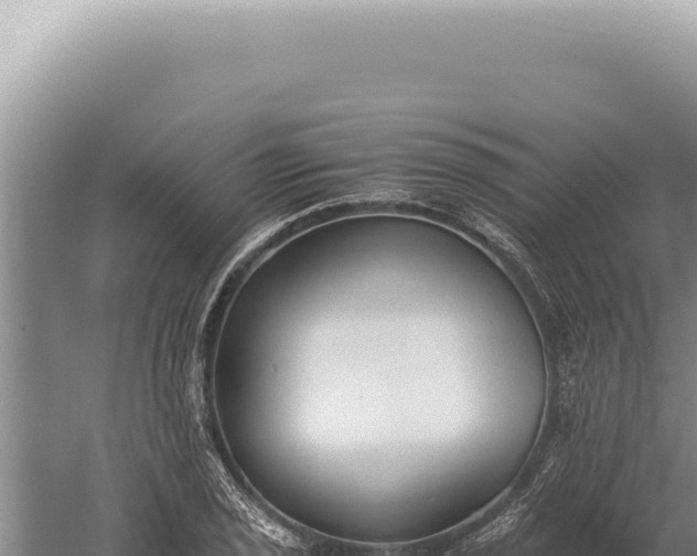 X0000059811029200510281700