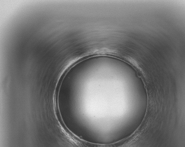 X0000059811032200510281700