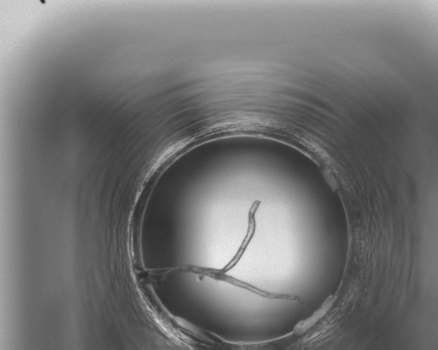 X0000059811034200510281700