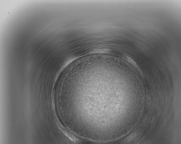 X0000059811035200510281700