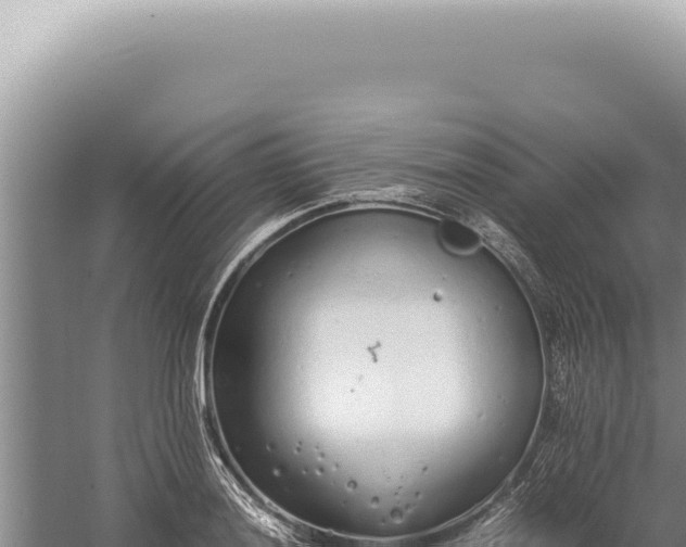 X0000059811036200510281700