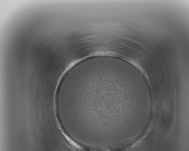 X0000059811037200510281700