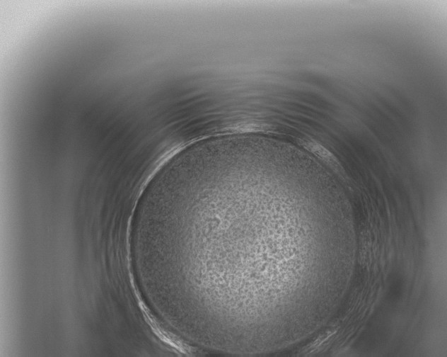 X0000059811039200510281700