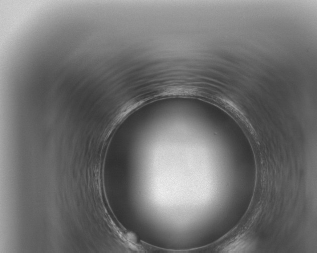 X0000059811041200510281700