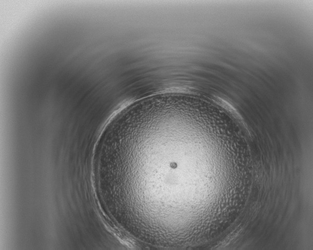 X0000059811043200510281700