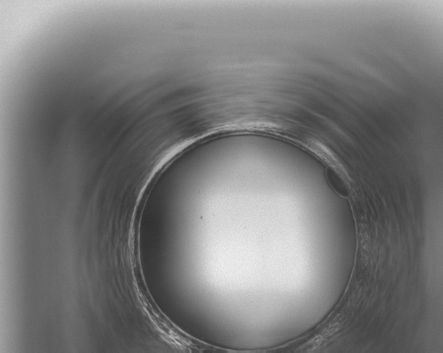 X0000059811044200510281700