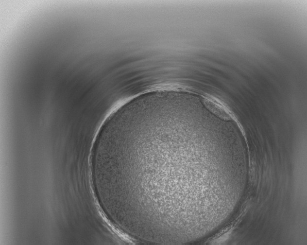 X0000059811045200510281700