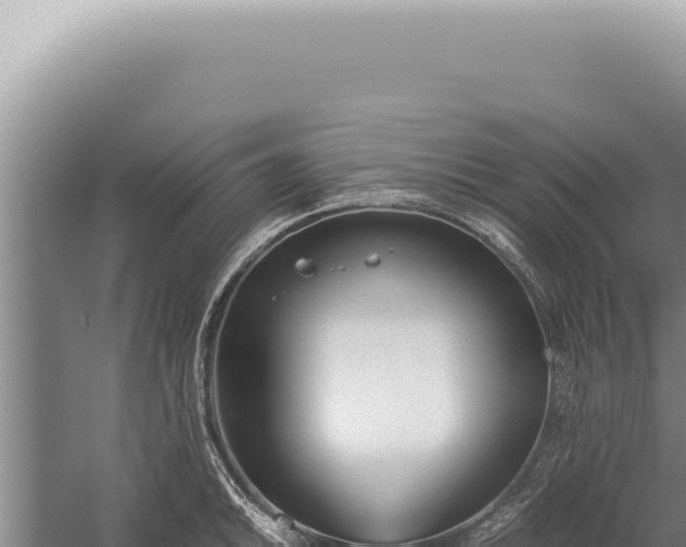 X0000059811046200510281700